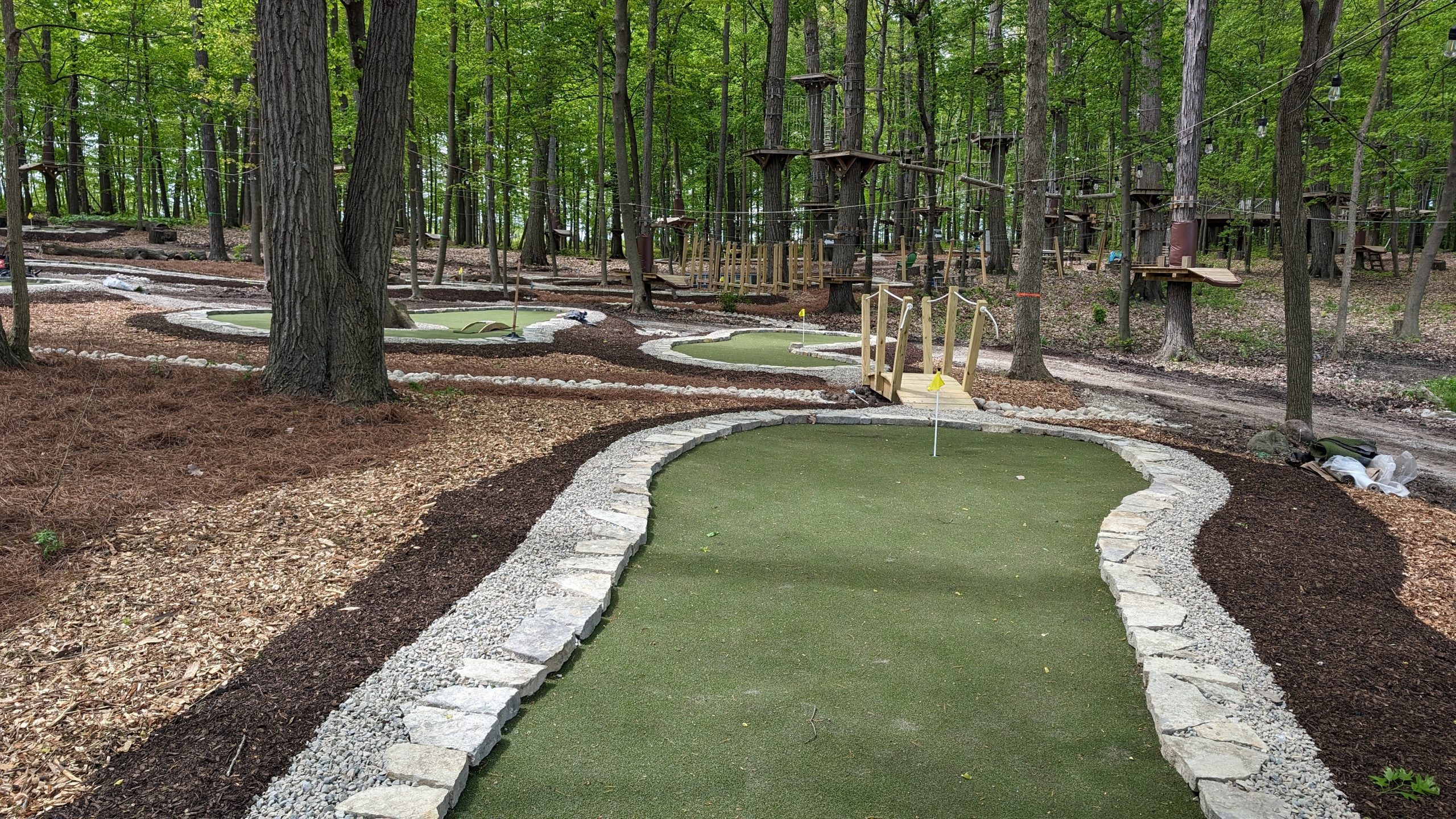 Putt Forest