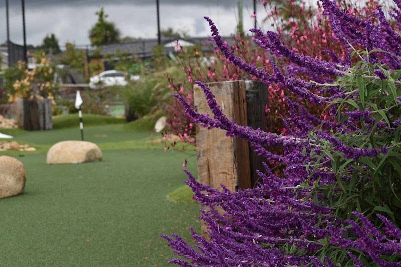 Puttz Mini Golf