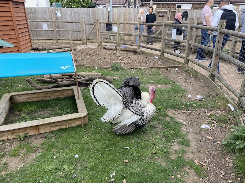 Queen's Park Children's Farm
