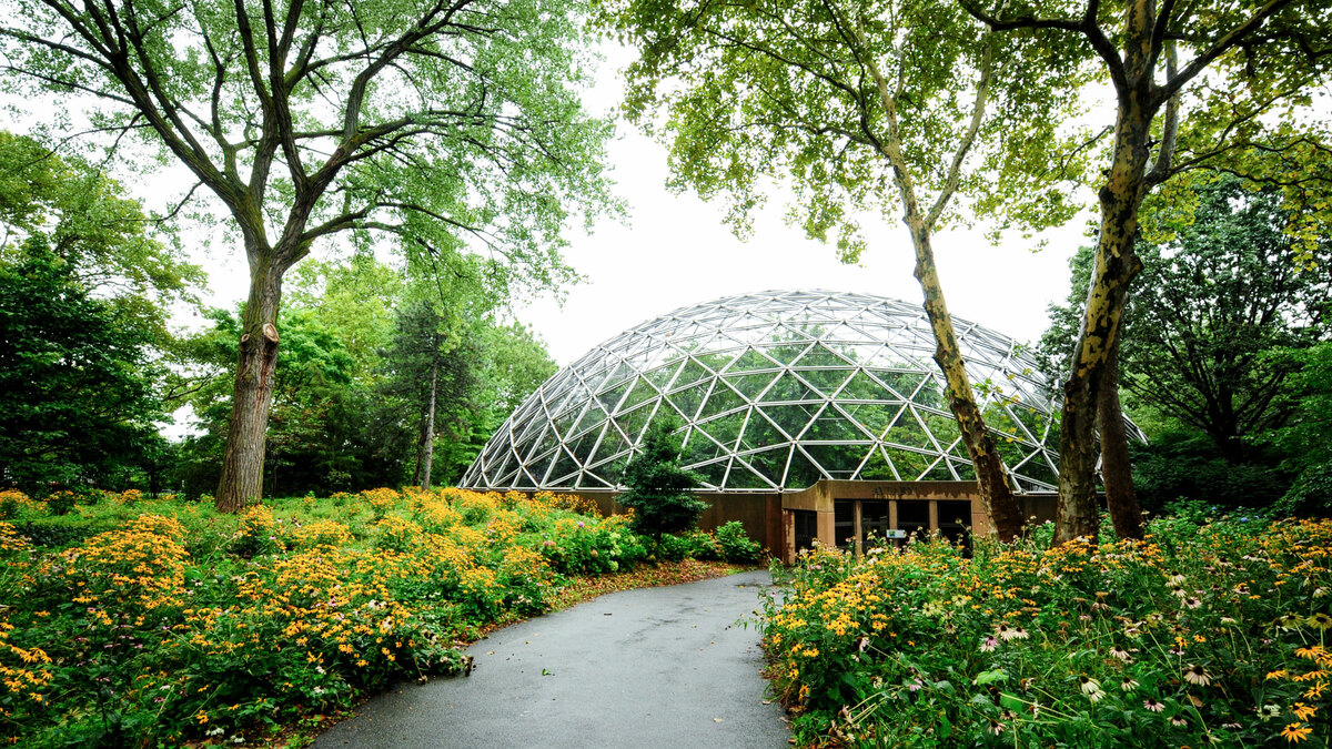 Queens Zoo photo 3