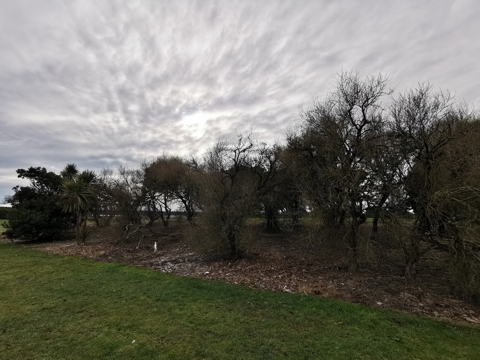Queenspark Reserve photo 3