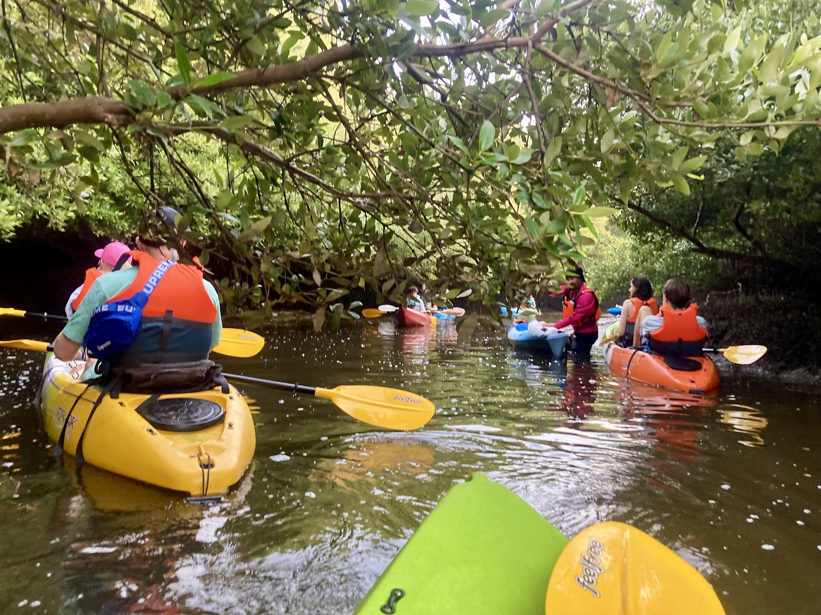 Quest for Adventure - Ajman Mangrove Nature Tours photo 2