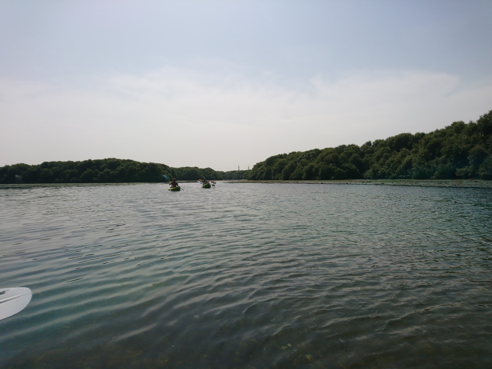 Quest for Adventure - Ajman Mangrove Nature Tours photo 3