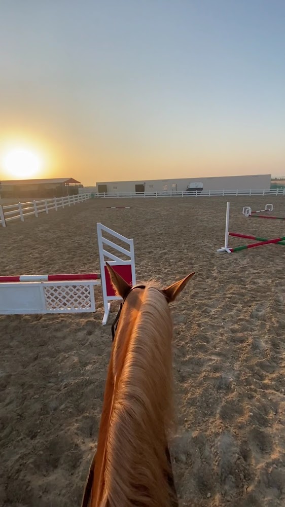 Rabdan Equestrian Club photo 3
