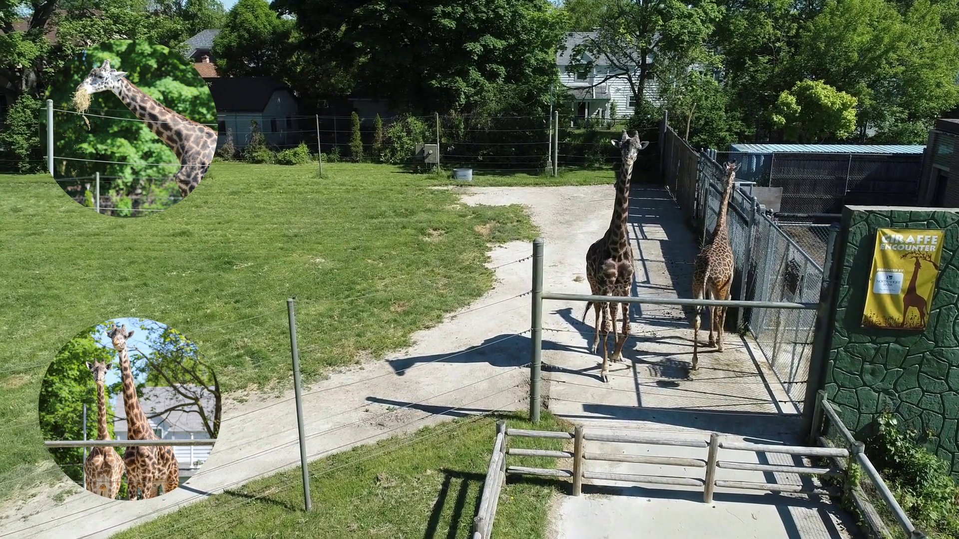Racine Zoo photo 2