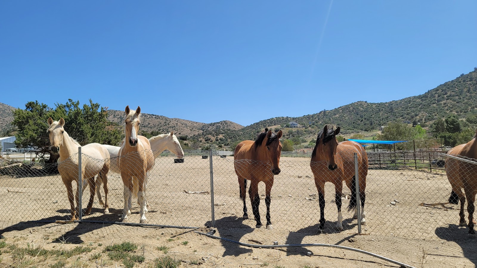 Rainbow Ridge Ranch photo 3
