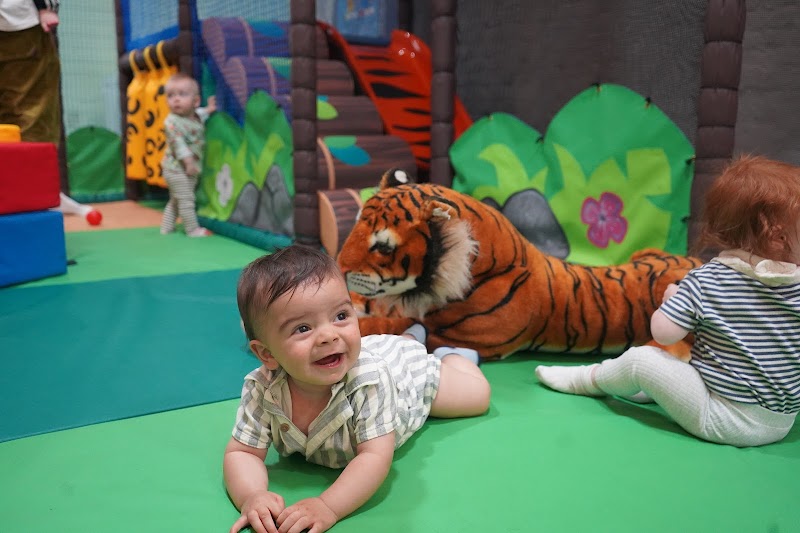Rainforest Soft Play Club C.I.C photo 2