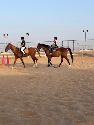 RAK Horse & Beach Riding Club – Al Jazeerah Equestrian