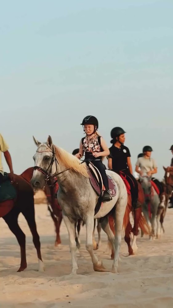 RAK Horse & Beach Riding Club – Al Jazeerah Equestrian photo 3