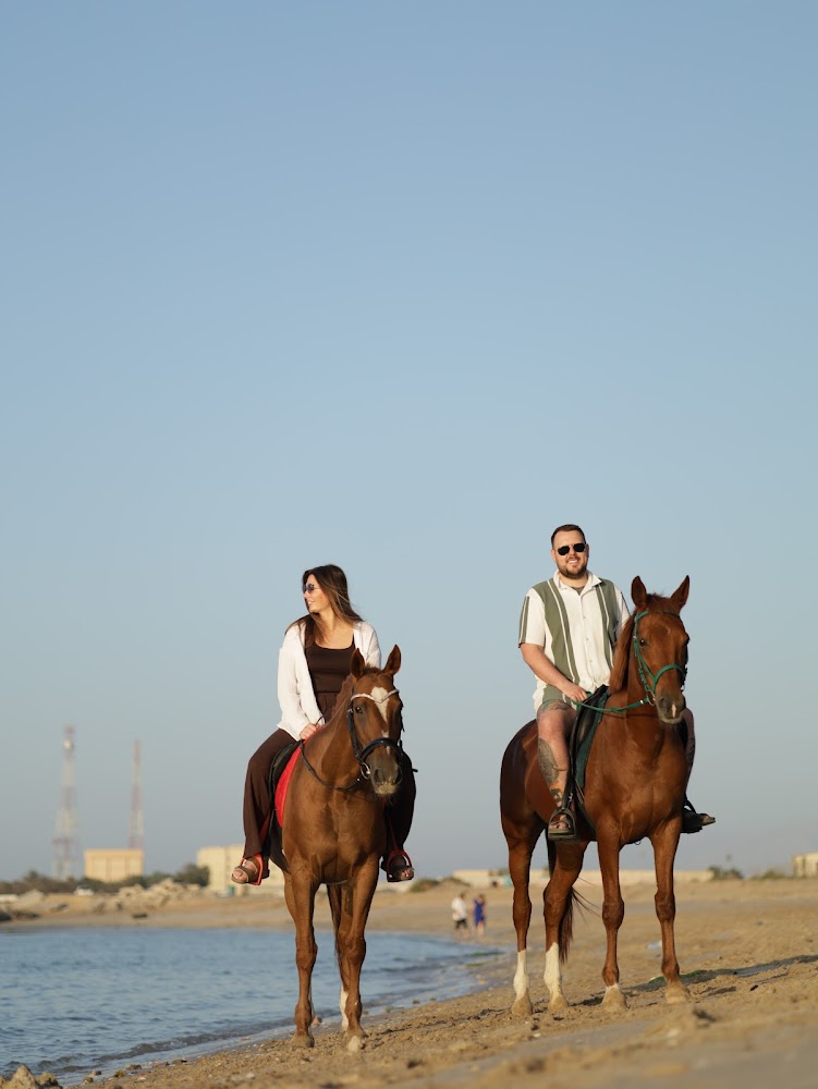 RAK Horse & Beach Riding Club – Al Jazeerah Equestrian photo 4