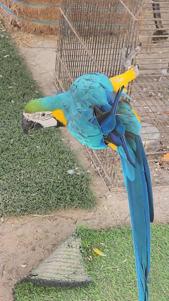 RAK Natures Treasures photo 3