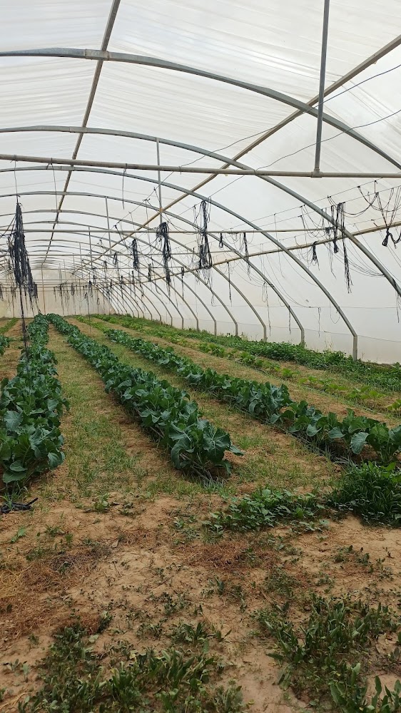 RAK Natures Treasures photo 5