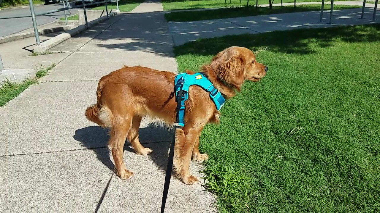 Ramsey Neighborhood Park