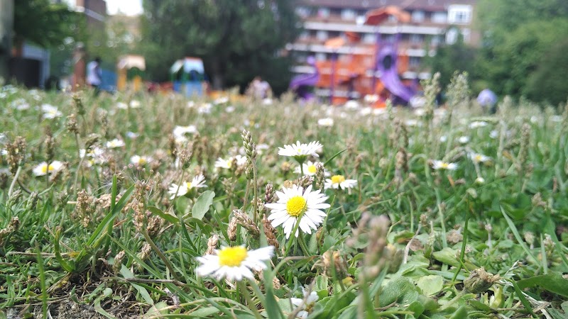 Randolph Beresford Playground