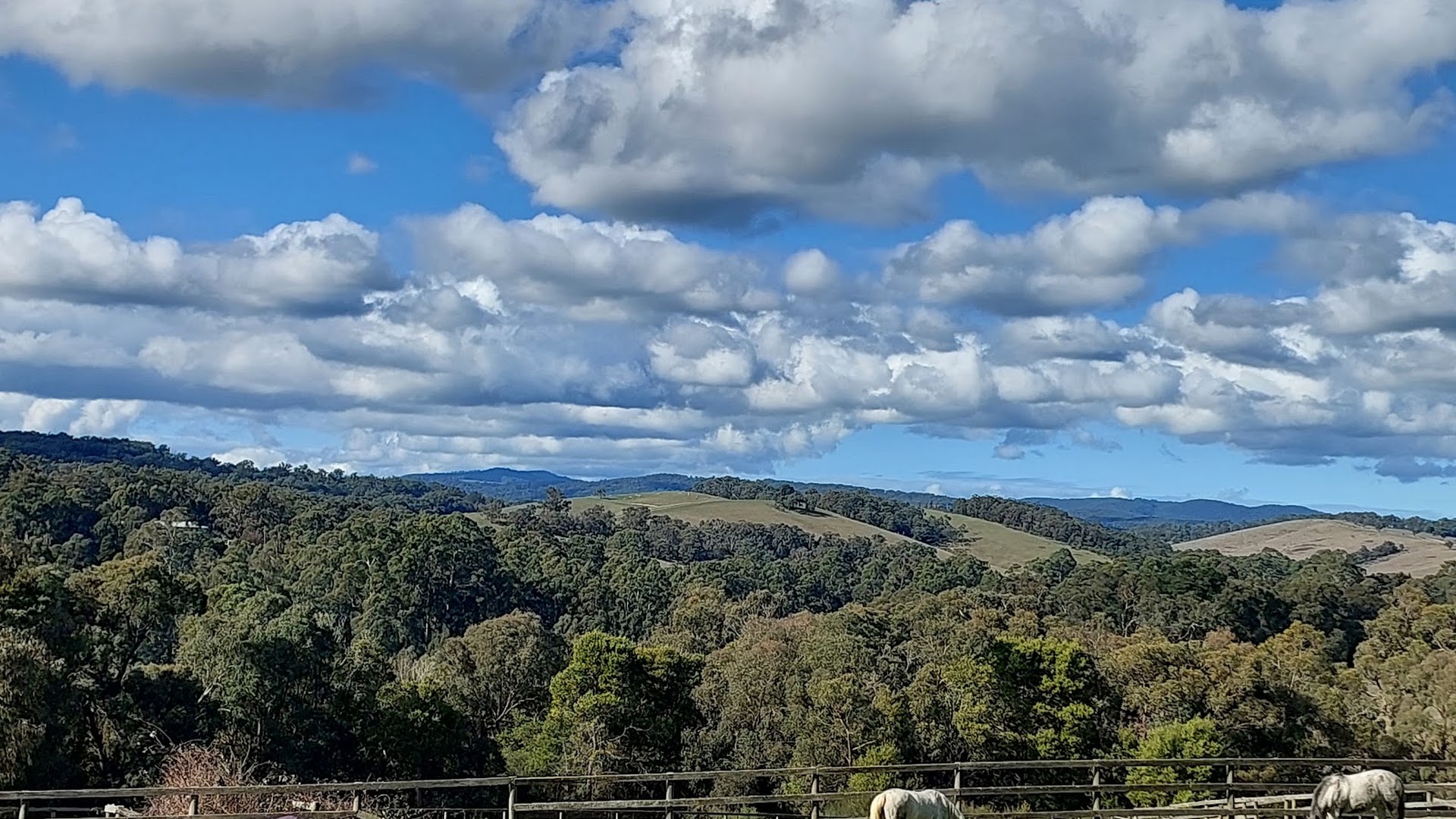 Ranges Equestrian Centre photo 3