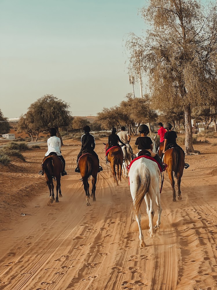 اسطبلات الدانة للفروسية photo 2