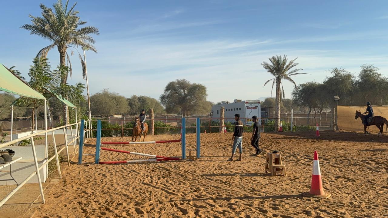 اسطبلات الدانة للفروسية photo 5