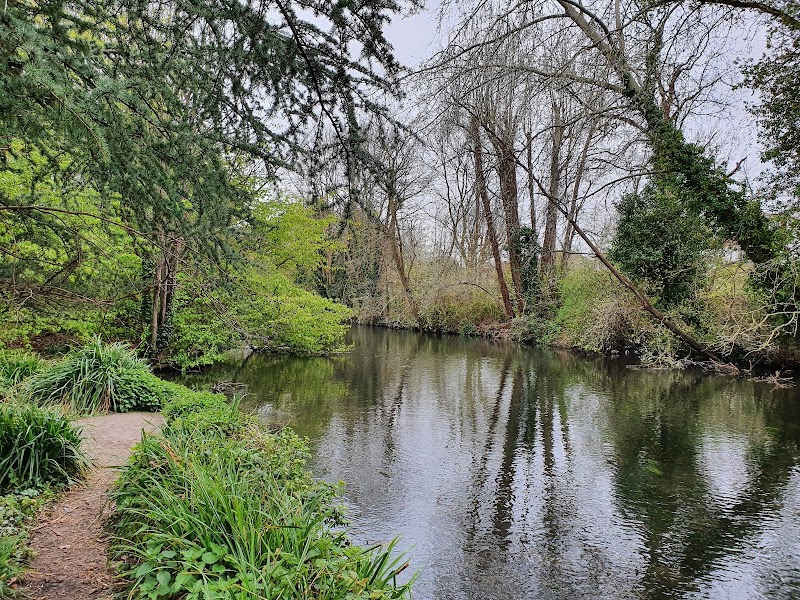 Ravensbury Park photo 2