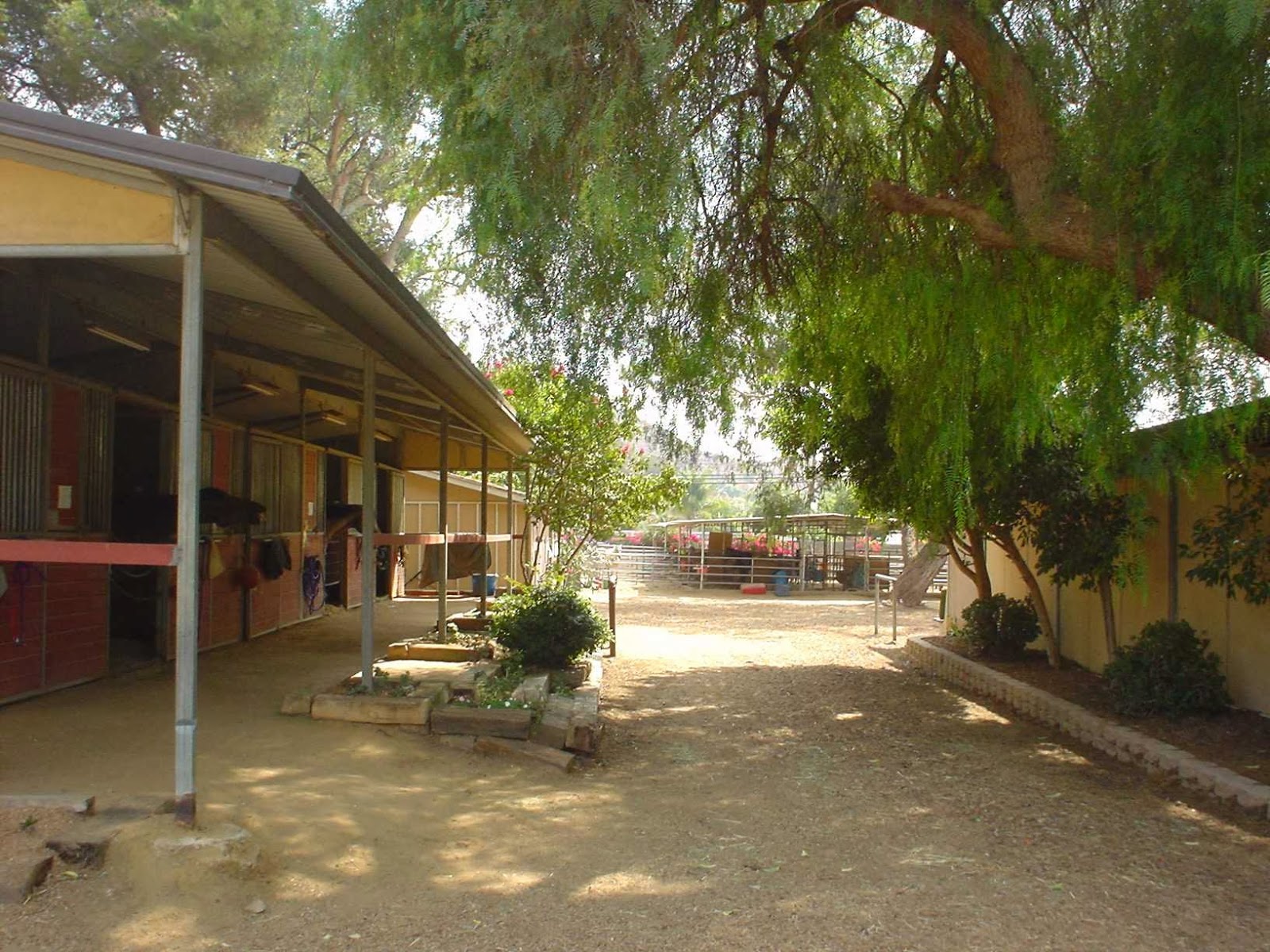 Ravensview Ranch photo 2