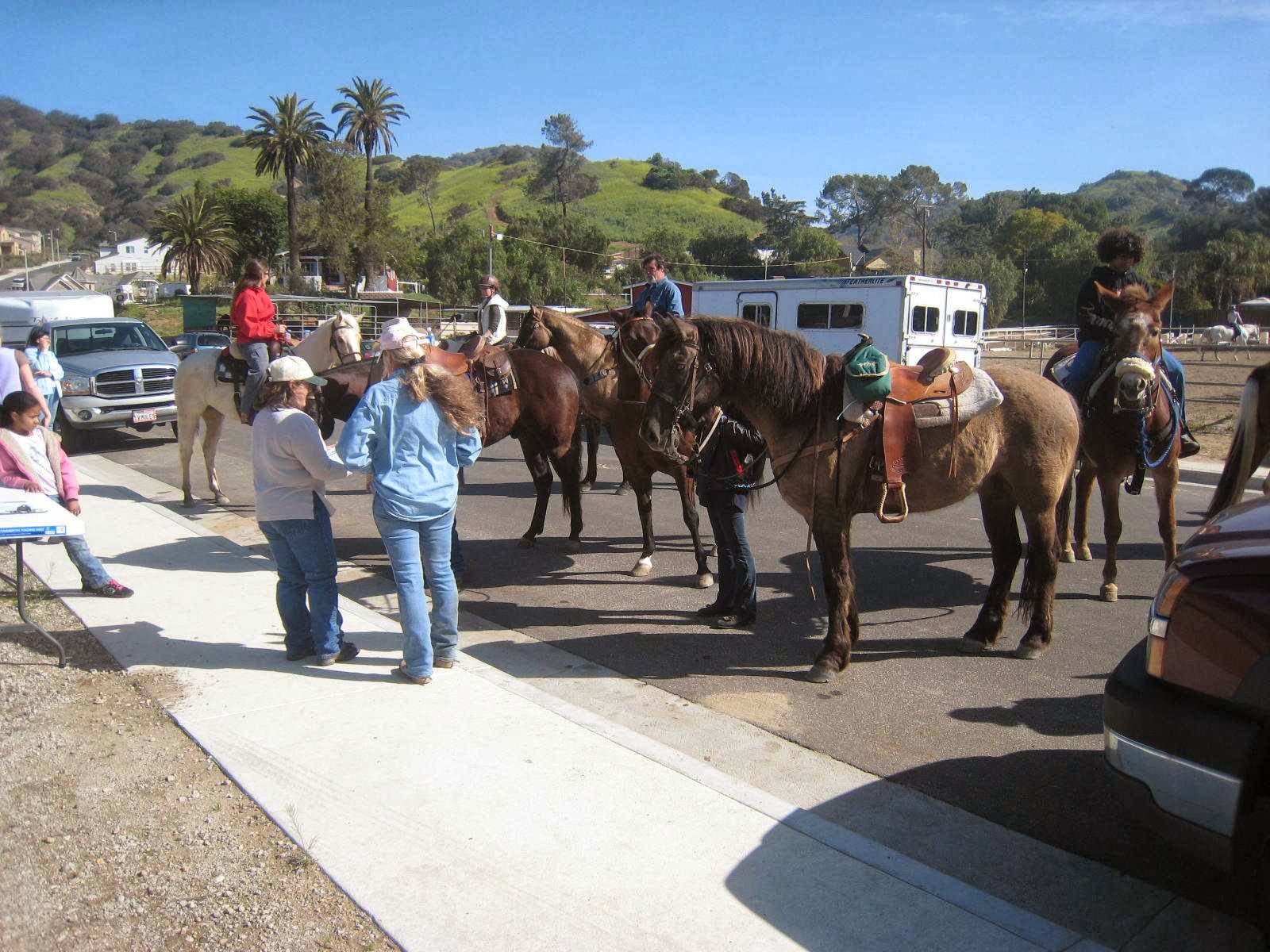 Ravensview Ranch photo 3