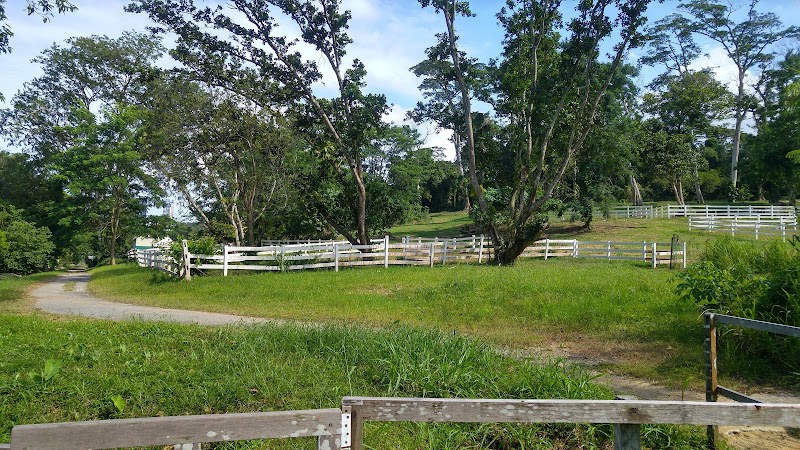 RDA Centre photo 3