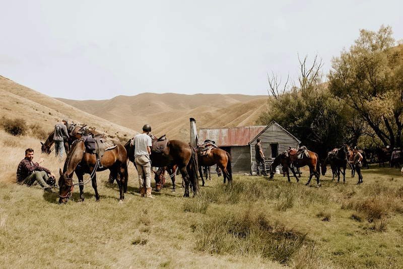 Photo of Real Kiwi Horse Trekking in Canterbury