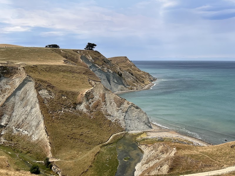Real New Zealand Farm Tours