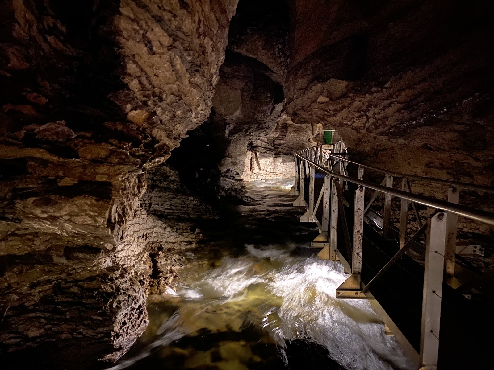 Te Anau Glowworm Caves photo 2