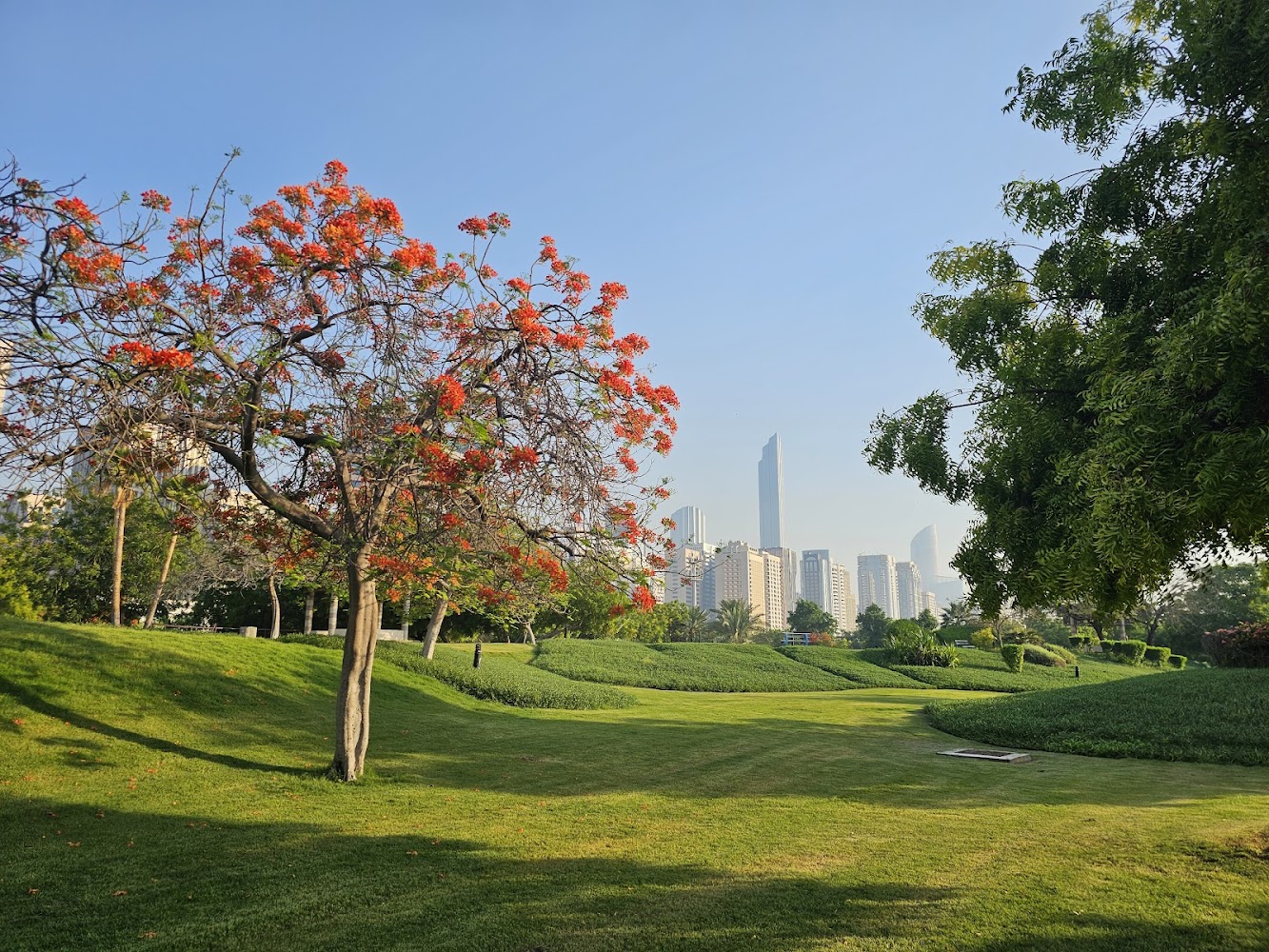 Recreation Park Abu Dhabi photo 4