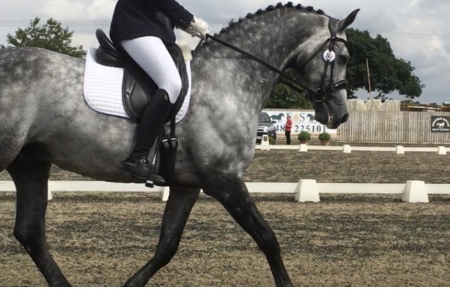 Photo of Red Earth Equestrian Centre in North West