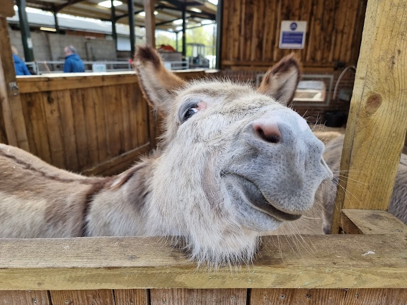 Reddish Vale Farm photo 2