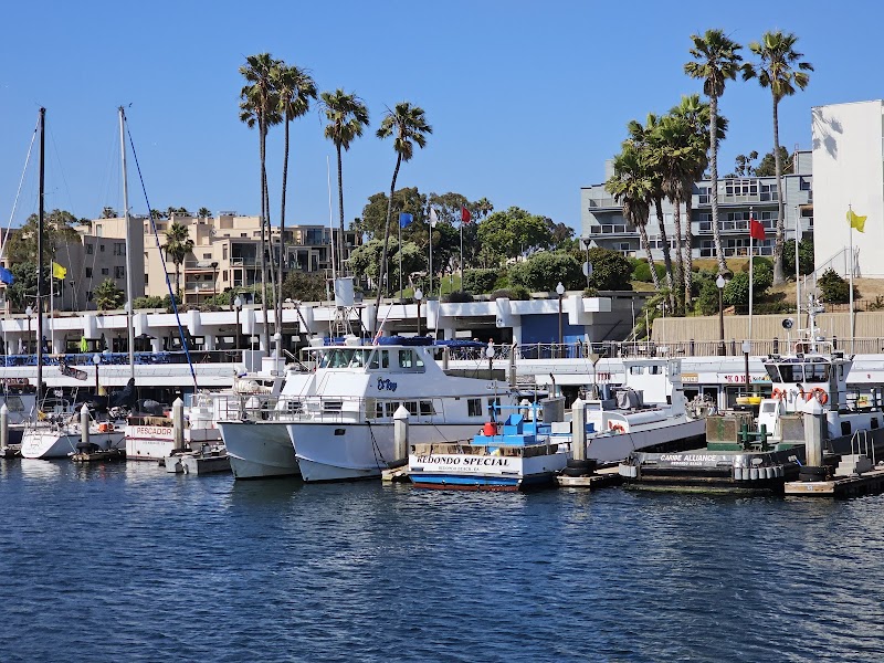 Redondo Beach Pier Skatepark photo 3