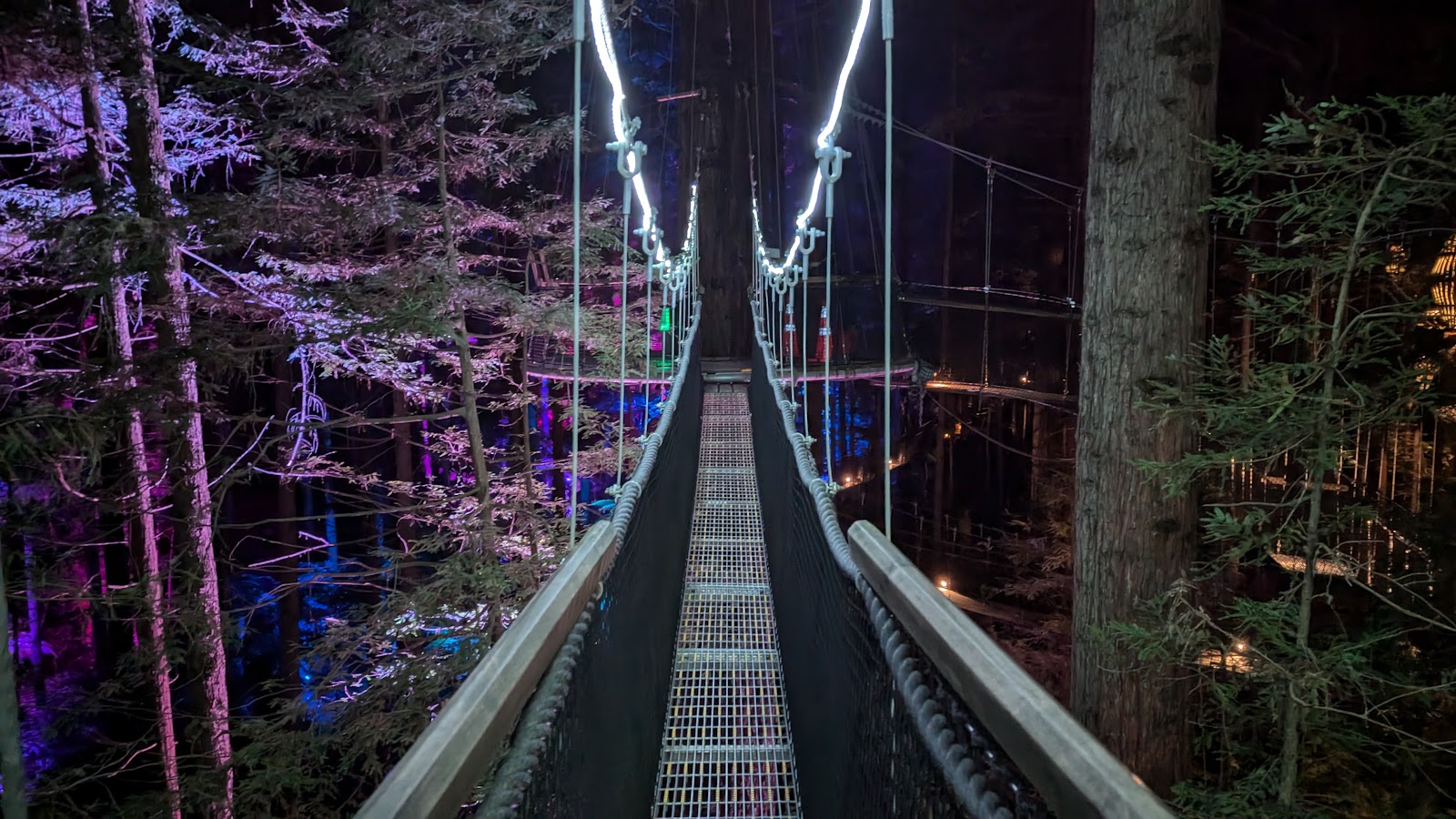 Redwoods Treewalk photo 2