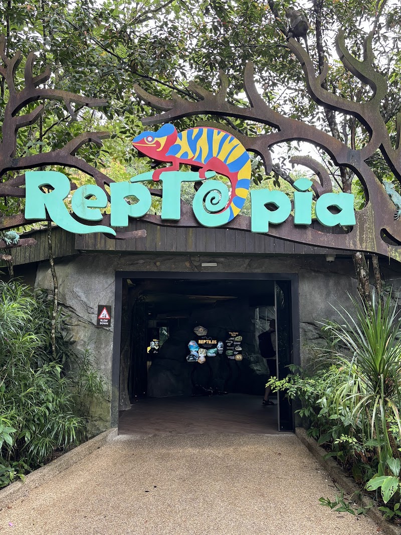 RepTopia (Singapore Zoo)