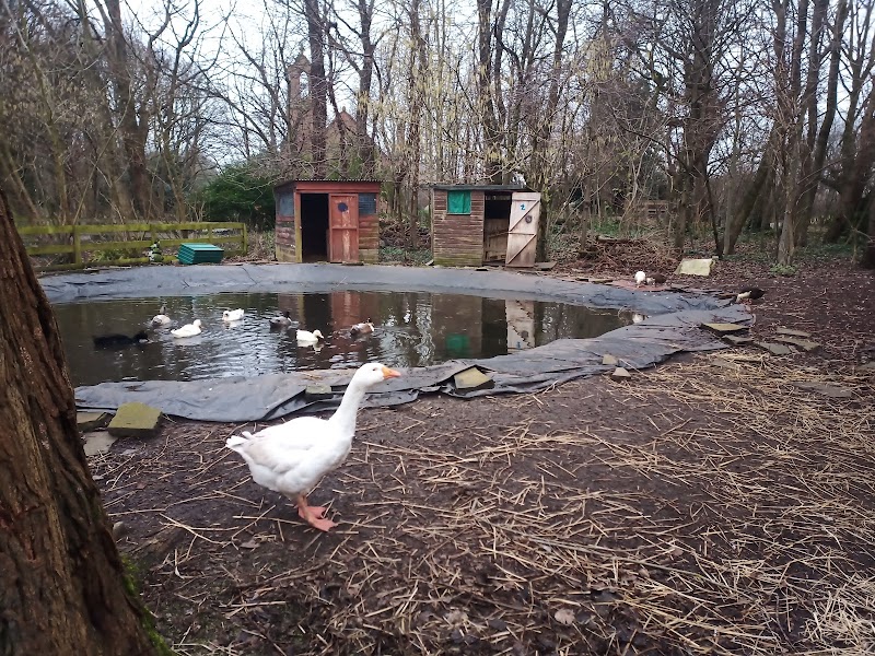 Rice Lane City Farm photo 2