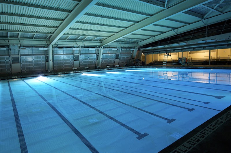 Richard Alatorre Aquatic Center photo 3