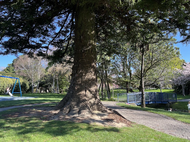 Riddiford Gardens Playground