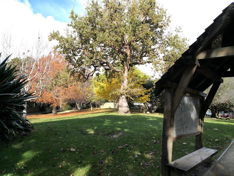 Riddiford Gardens Playground photo 3