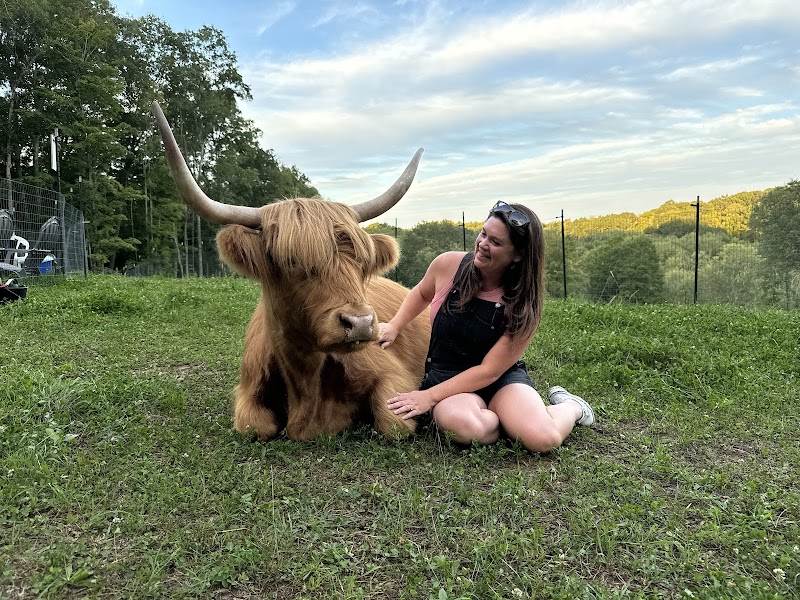 Ridge Ranch