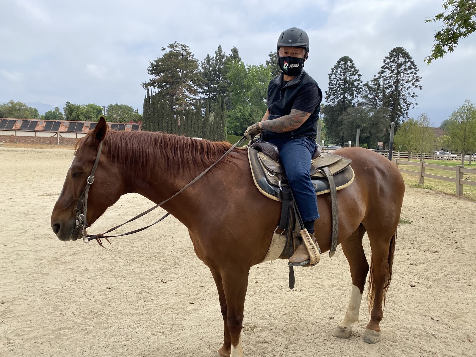 Riding Coach photo 2