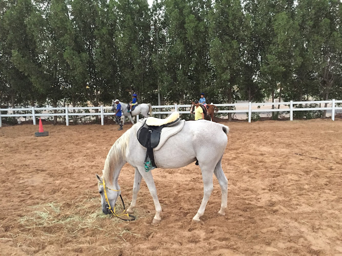 مربط الخميس للخيول العربية RIDING SCHOOL