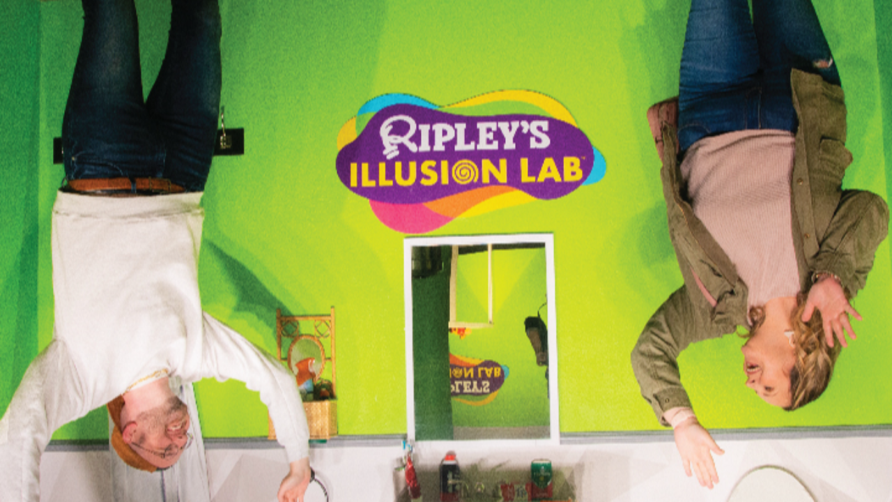 Ripleyβs Illusion Lab