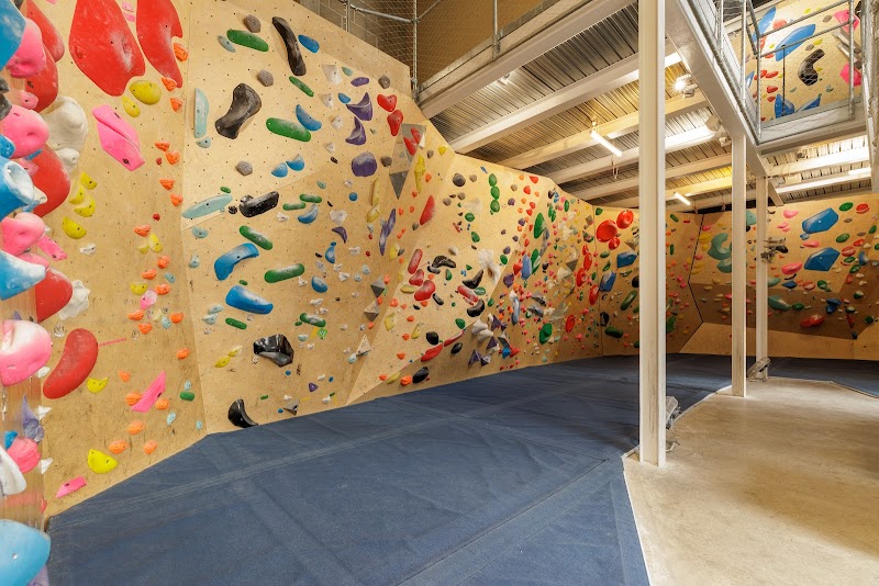 Rise Climbing