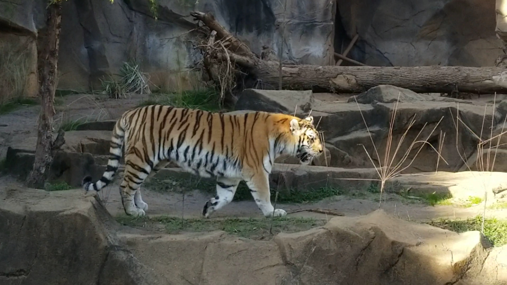 Riverbanks Zoo & Garden photo 2