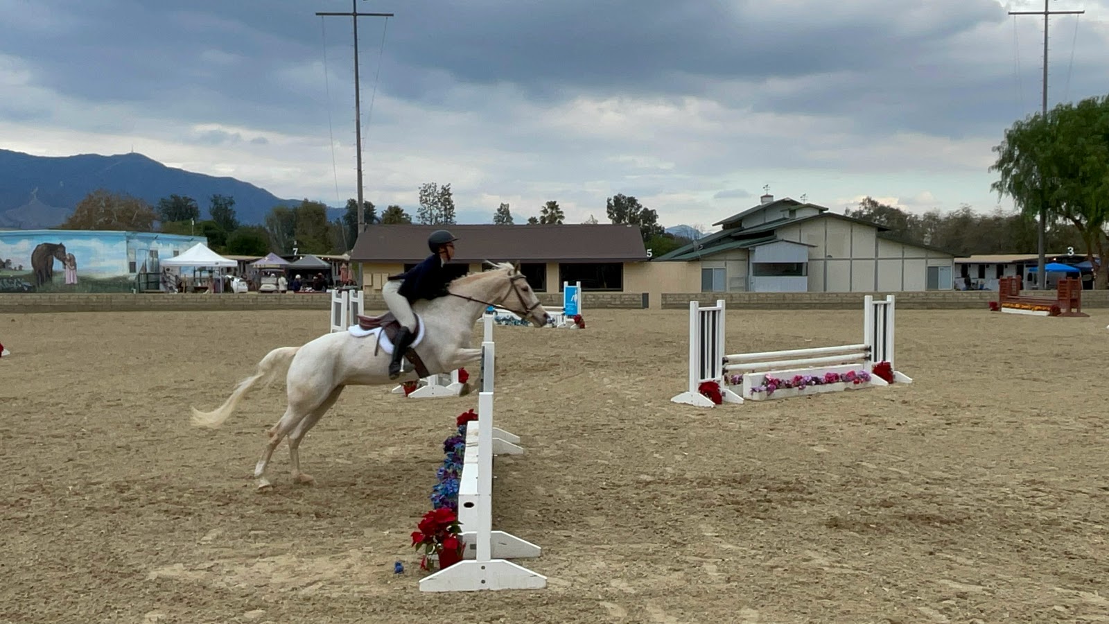 RJN Stables photo 3
