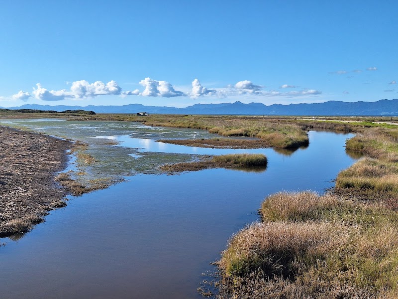 Robert Findlay Wildlife Reserve