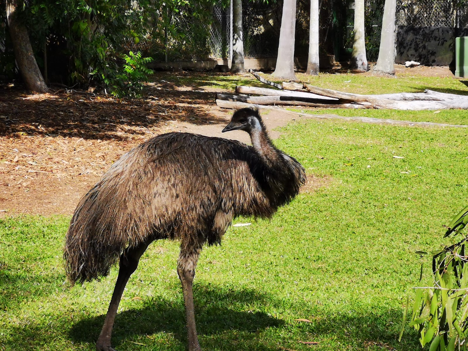 Rockhampton Zoo photo 2