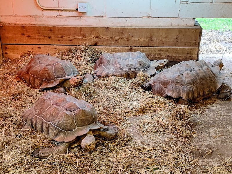 Rodbaston Animal Zone photo 2