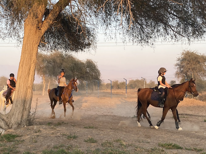 ROMANO EQUESTRIAN CLUB