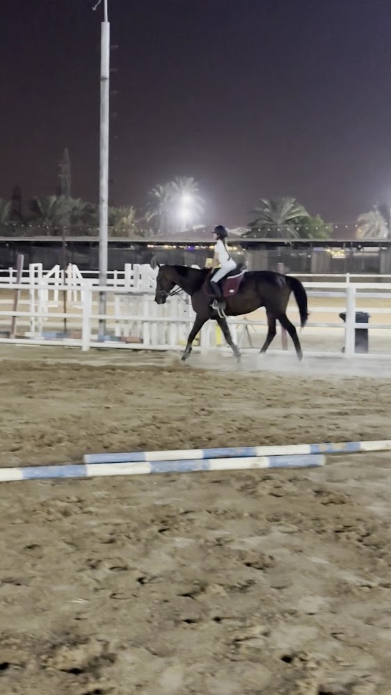 ROMANO EQUESTRIAN CLUB photo 2